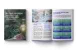 Vorschaubild des ISO 14001-Whitepapers, bestehend aus Titelblatt und den ersten beiden Seiten