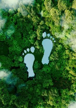 Corporate Carbon Footprint